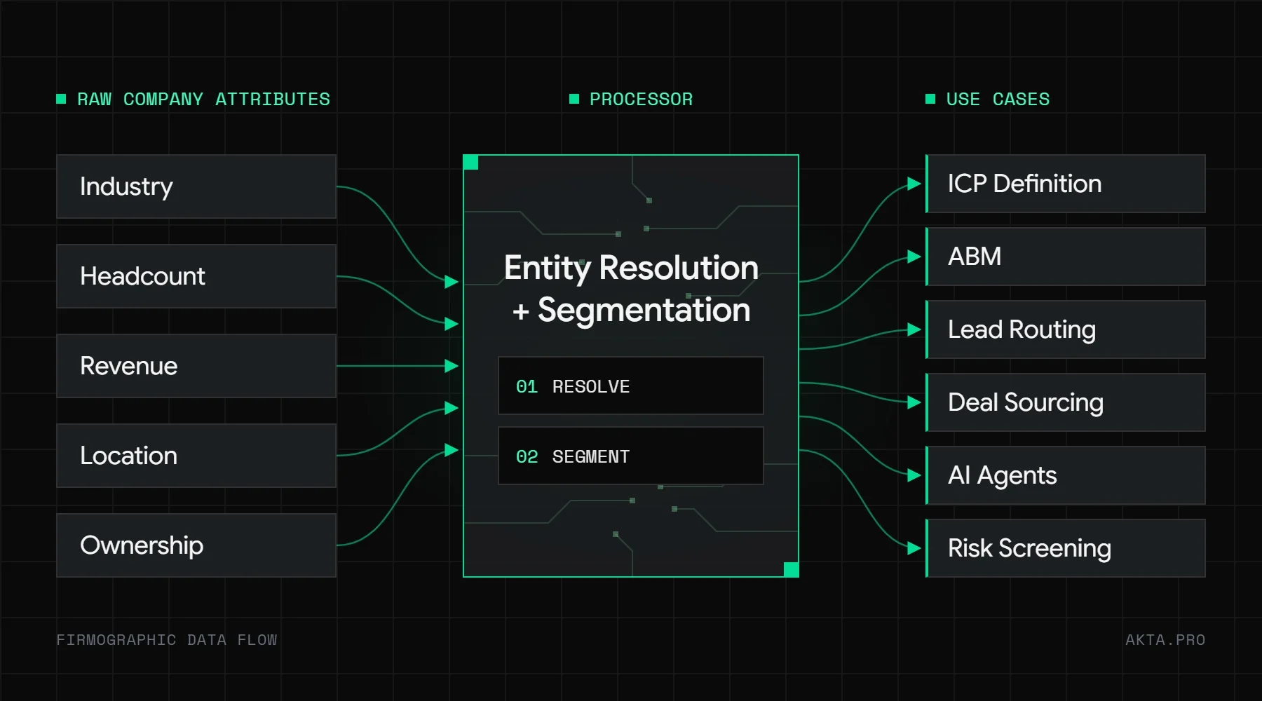 Firmographic data flow: raw company attributes on the left (industry, headcount, revenue, location, ownership) flow through entity resolution and segmentation into six use case outputs on the right